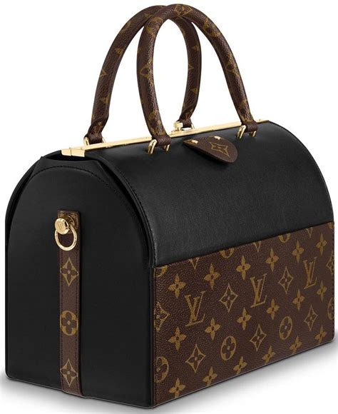 louis vuitton doctor's bag